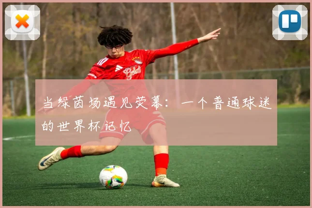 当绿茵场遇见荧幕：一个普通球迷的世界杯记忆